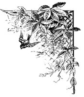 M0000691.TIF