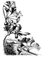 M0000690.TIF