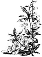 M0000689.TIF