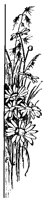 M0000671.TIF
