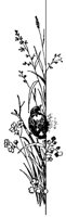 M0000670.TIF