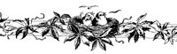 M0000669.TIF