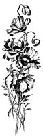 M0000668.TIF