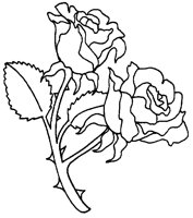 M0001347.TIF