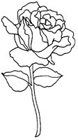 M0001345.TIF