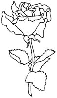 M0001342.TIF