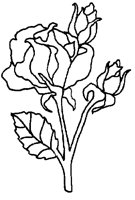 M0001341.TIF