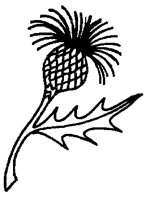 M0001338.TIF