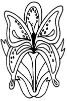 M0001316.TIF