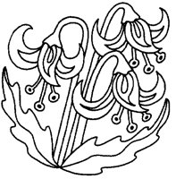 M0001313.TIF