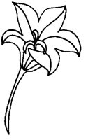 M0001312.TIF