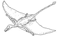 M0001780.TIF