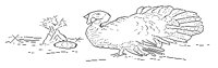 M0002734.TIF