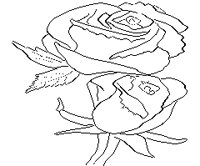 M0002693.TIF