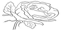 M0002692.TIF