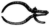 M0005519.TIF