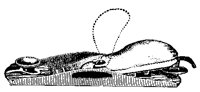 M0005518.TIF