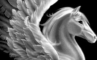 M0003904.TIF