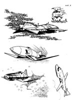 M0002941.TIF