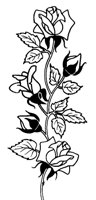 M0004140.TIF
