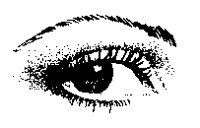 M0004131.TIF
