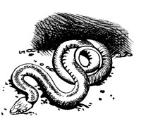M0004114.TIF
