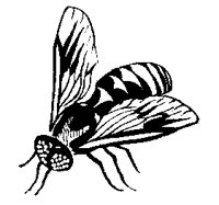 M0004113.TIF