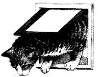 M0004111.TIF