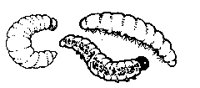 M0004059.TIF