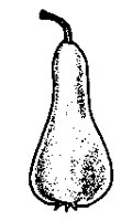 M0004057.TIF