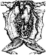 M0004055.TIF