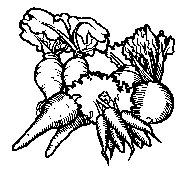 M0004018.TIF
