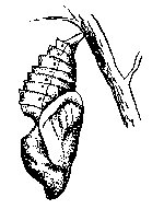 M0003997.TIF