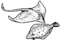 M0003982.TIF