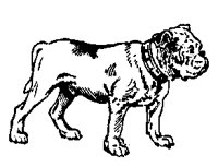 M0003977.TIF
