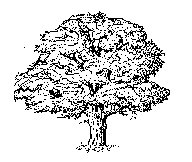 M0004583.TIF