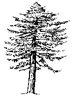 M0004582.TIF