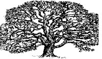 M0004581.TIF