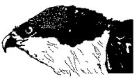 M0004492.TIF