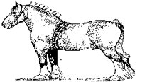 M0004463.TIF