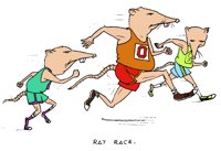 RATRACEC.TIF