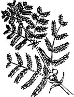 M0003763.TIF