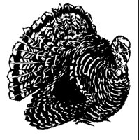 M0005946.TIF