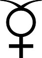 ICON078.WMF