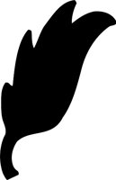 NATR101.WMF