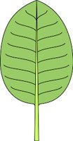 NATR060.WMF