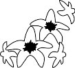 NATR029.WMF