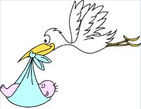 STORK.WPG