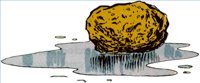 SPONGE.WPG