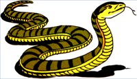 SNAKE.WPG